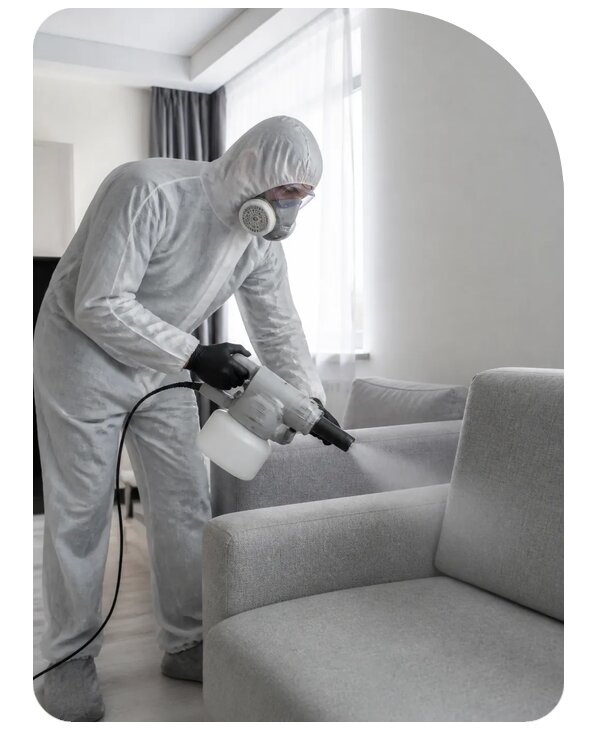 Профессиональная дезинфекция мебели в Королёве по цене от 1560 р. | Сенат-Кор